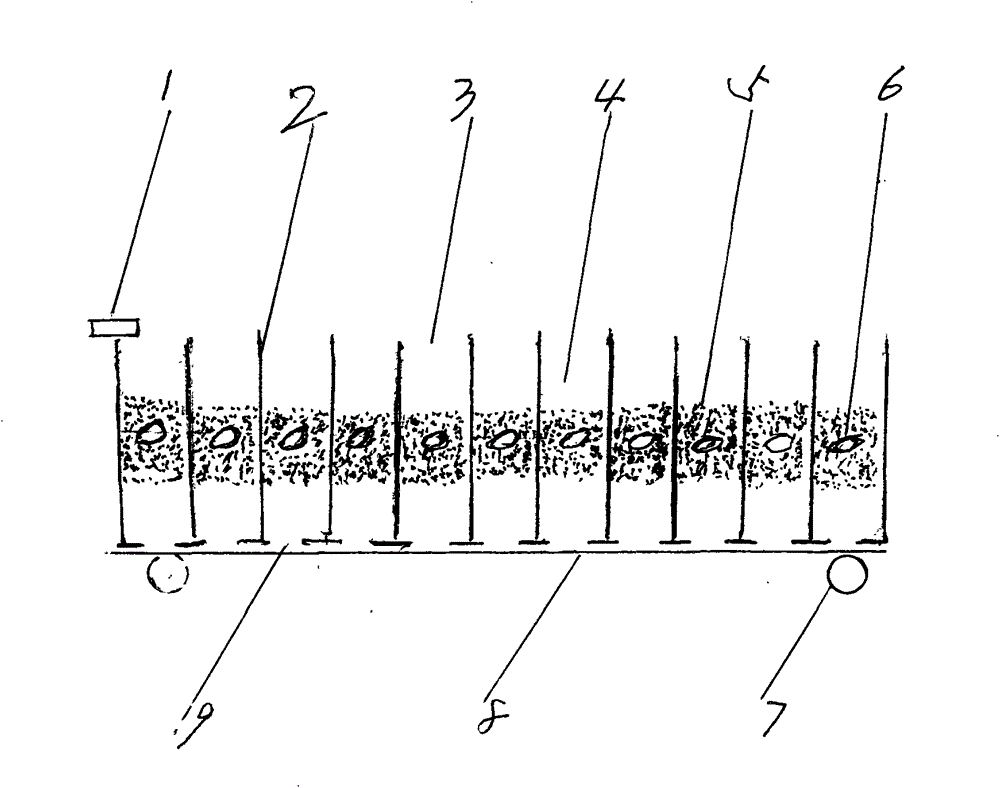 Multi-cylinder movable spray irrigation seedling device