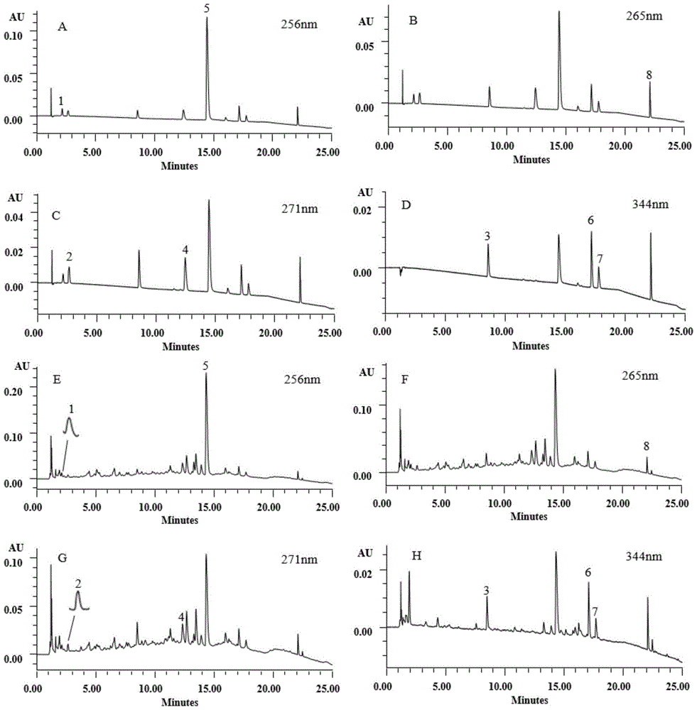 Determination method of index components in Chinese medicine raspberry