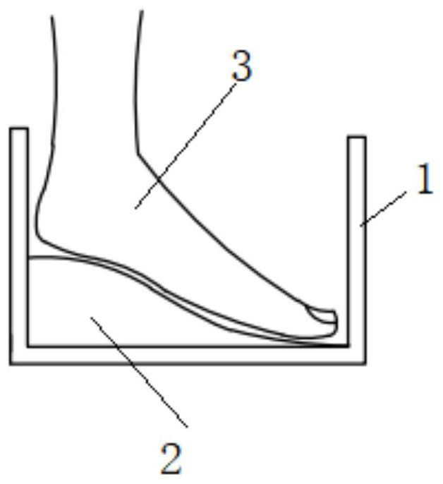 Shoe tree customizing method, customizing device and customizing shoe