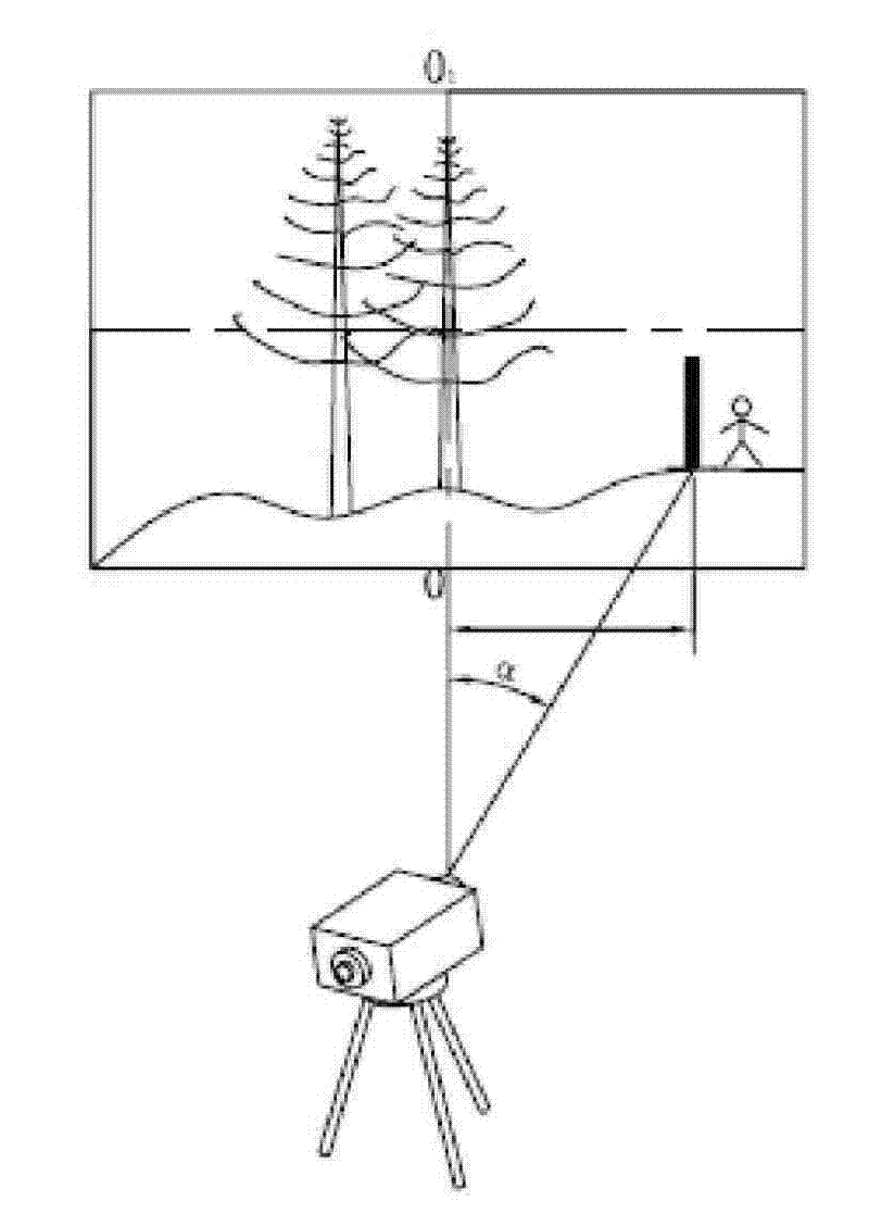 Digital level capable of automatically measuring