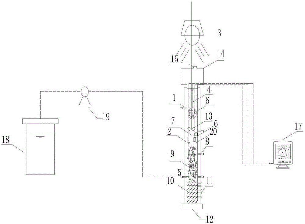 Simulated in-situ channel sediment anaerobic ammonium oxidation process device and its use method and application
