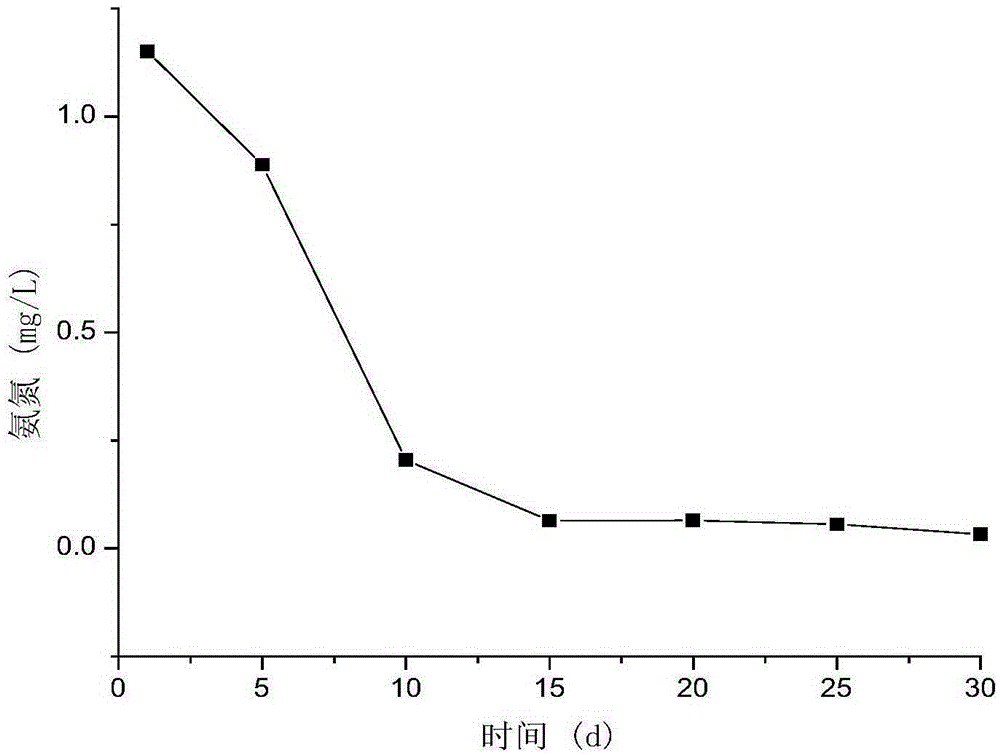 Simulated in-situ channel sediment anaerobic ammonium oxidation process device and its use method and application