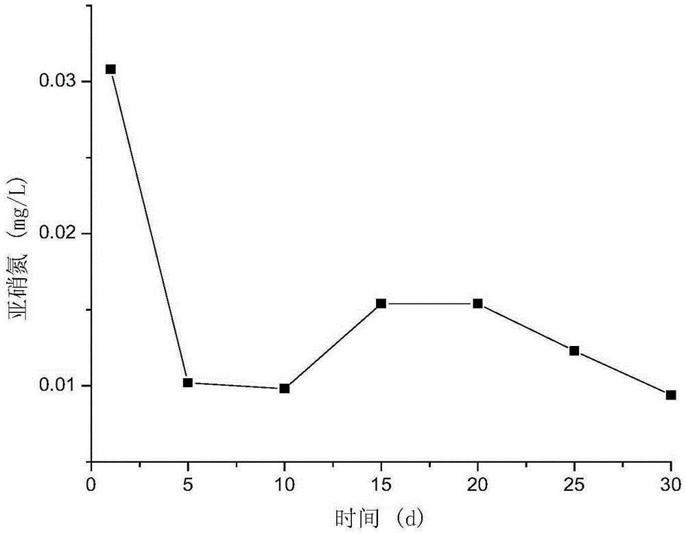 Simulated in-situ channel sediment anaerobic ammonium oxidation process device and its use method and application