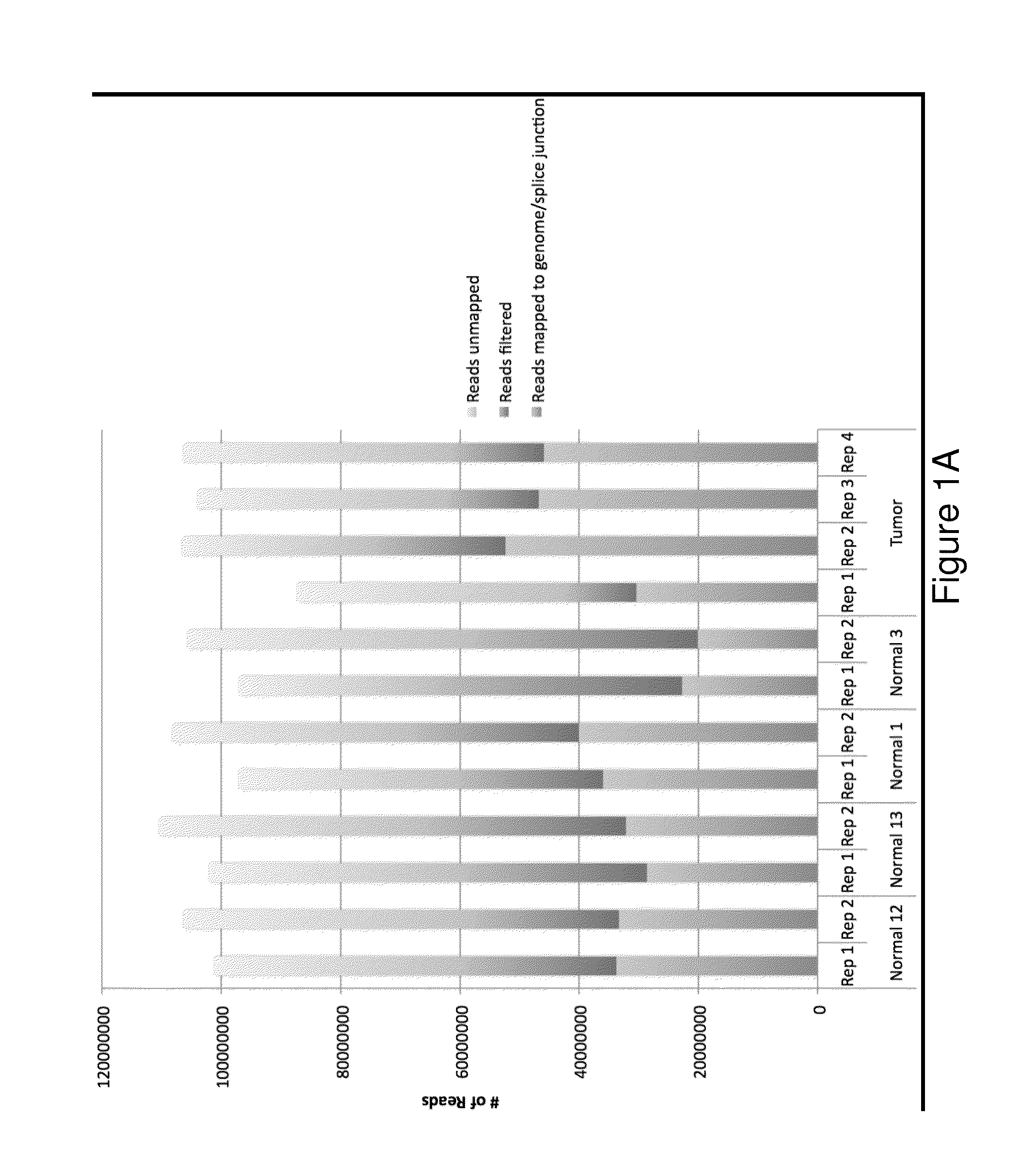 Biomarkers and methods of use thereof