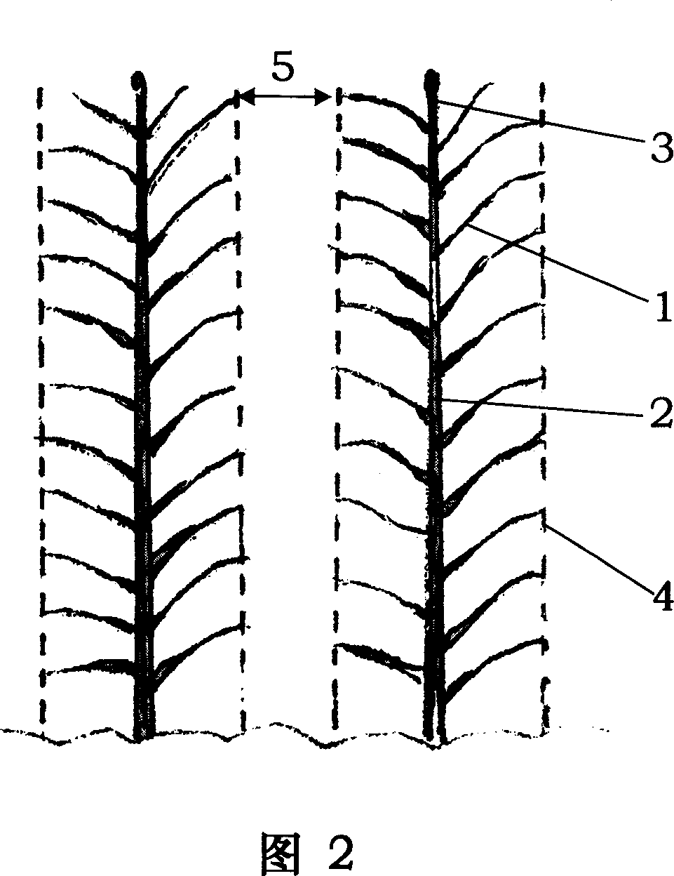 Method for pruning tree in scenery zone