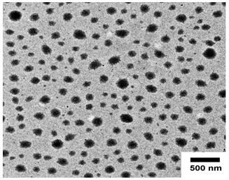 Sodium alginate diester anti-tumor nano preparation and preparation method