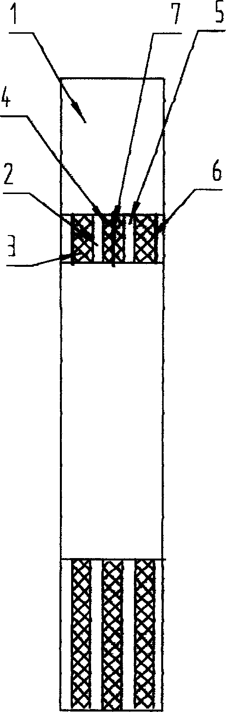 Test strip for testing biochemical matter in blood and its producing method