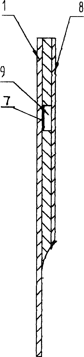 Test strip for testing biochemical matter in blood and its producing method