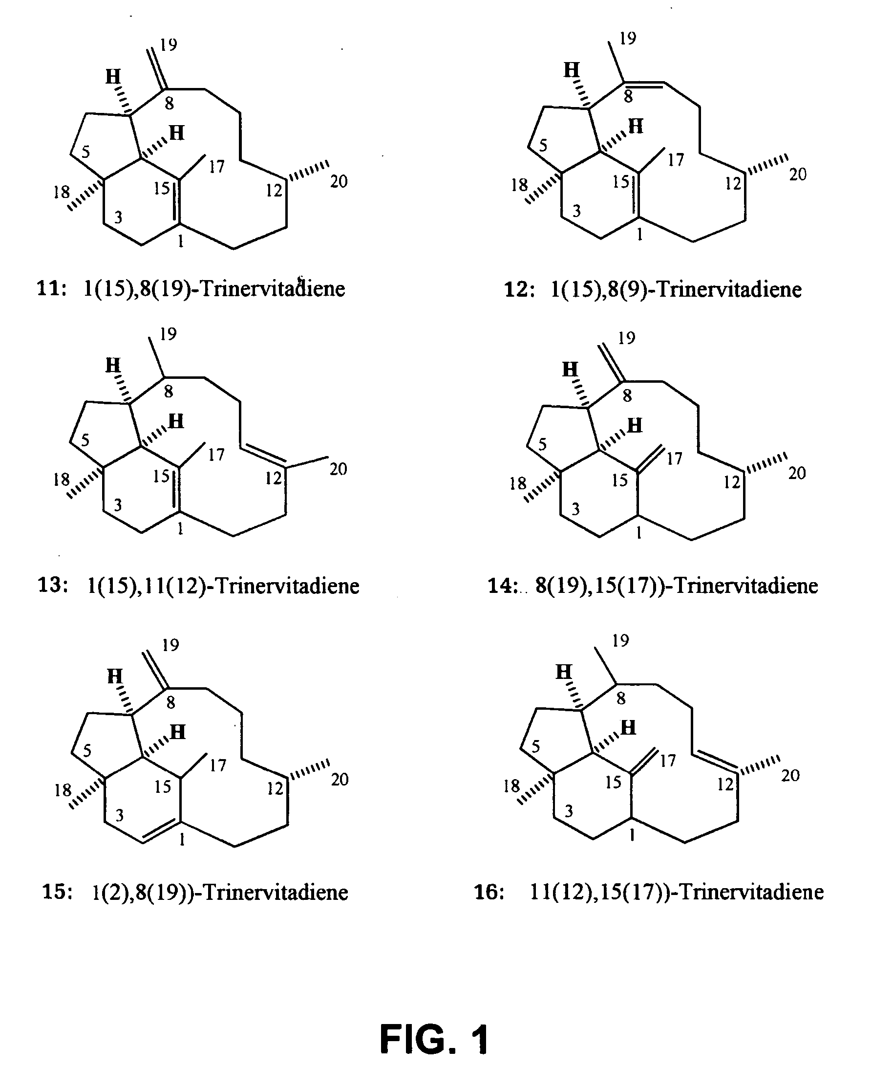 Novel antibiotic compounds