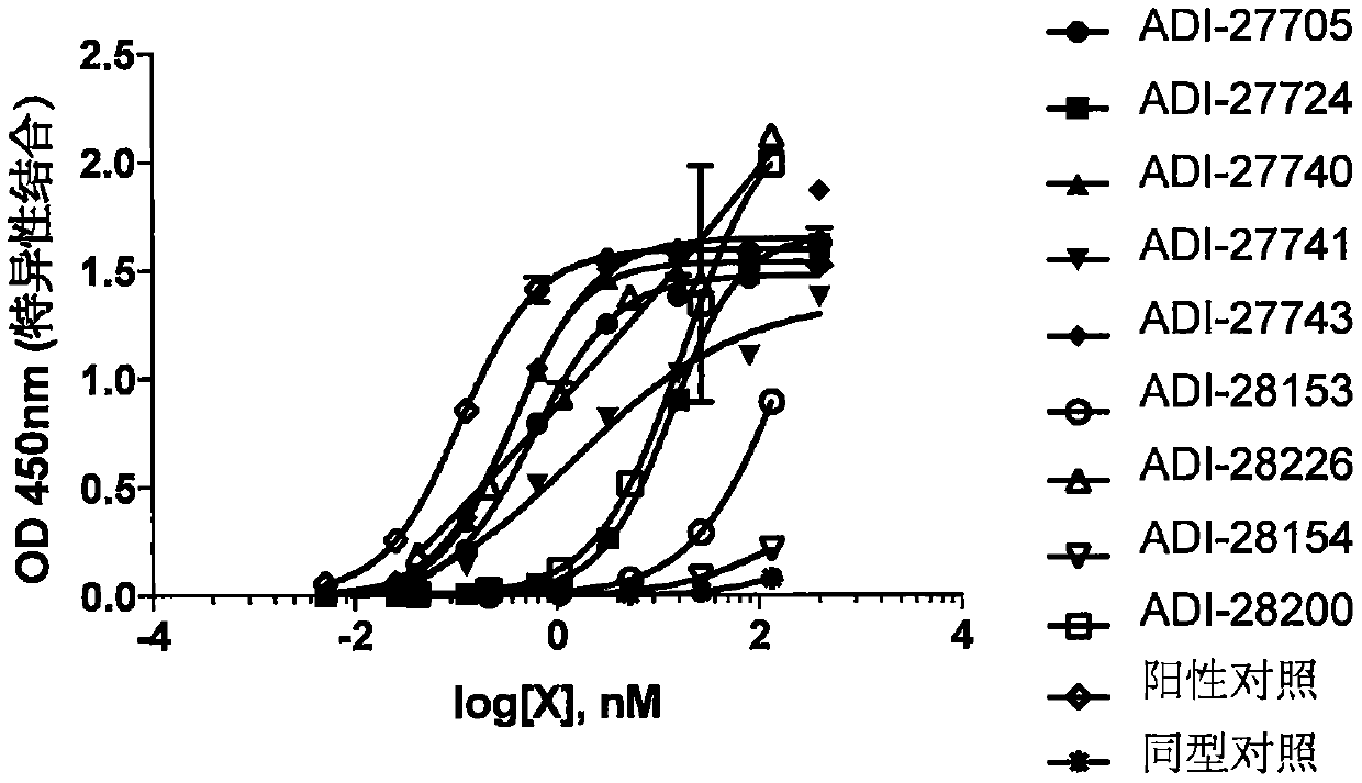 A protein binding nkg2d, cd16 and ror1 or ror2