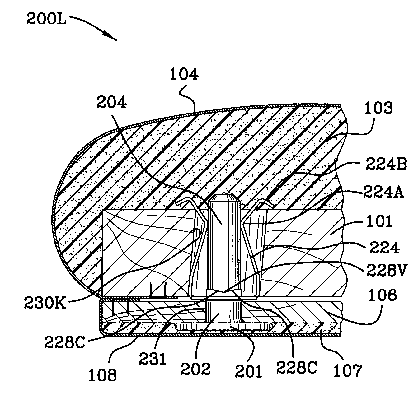 Fastener and process for using same