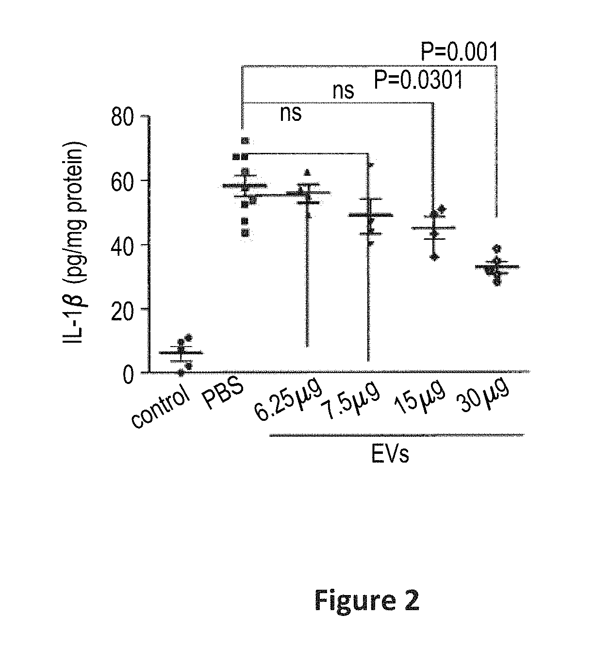 Scalable production of standardized extracellular vesicles, extracellular vesicle preparations and uses thereof