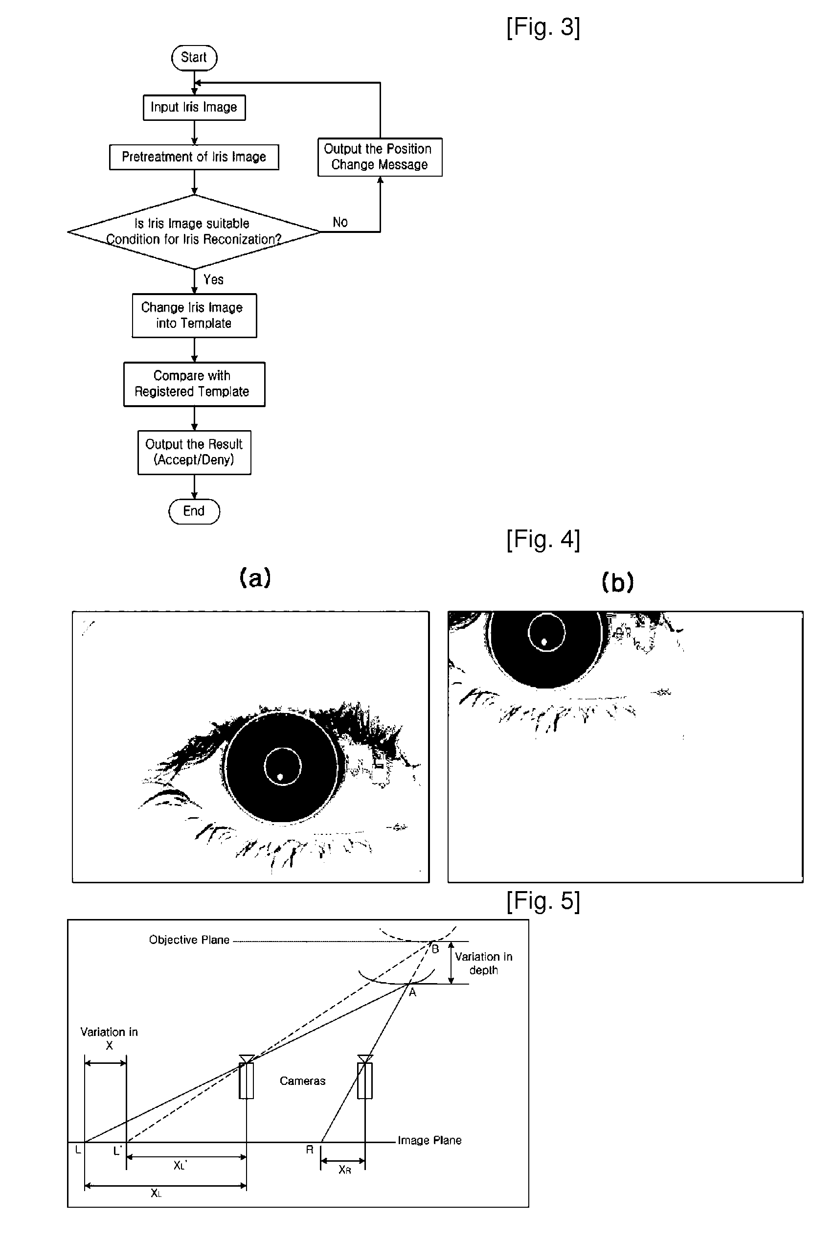 Iris Identification System and Method Using Mobile Device with Stereo Camera