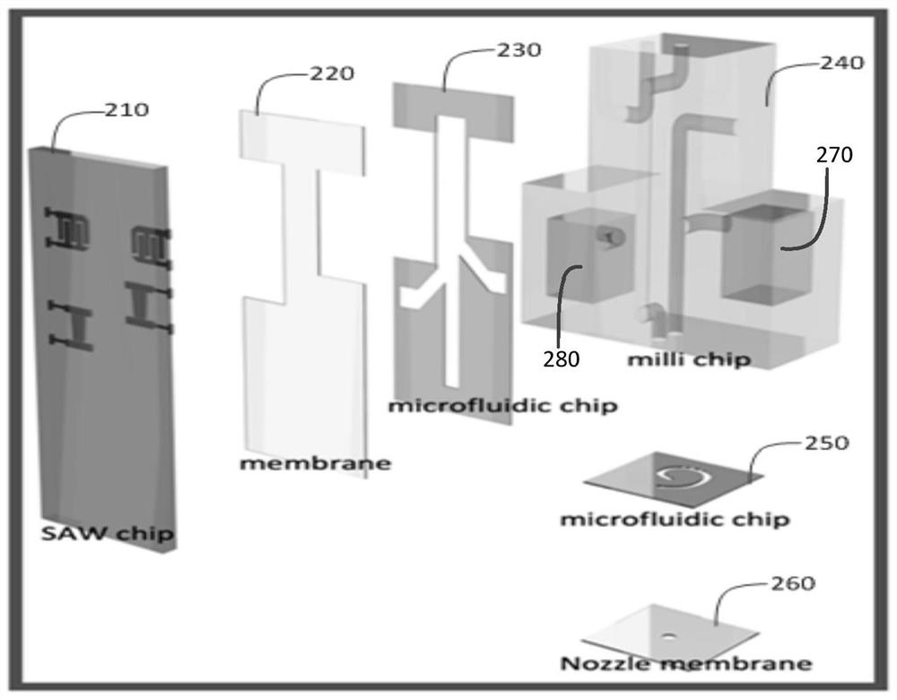 One-step single cell separation and distribution system