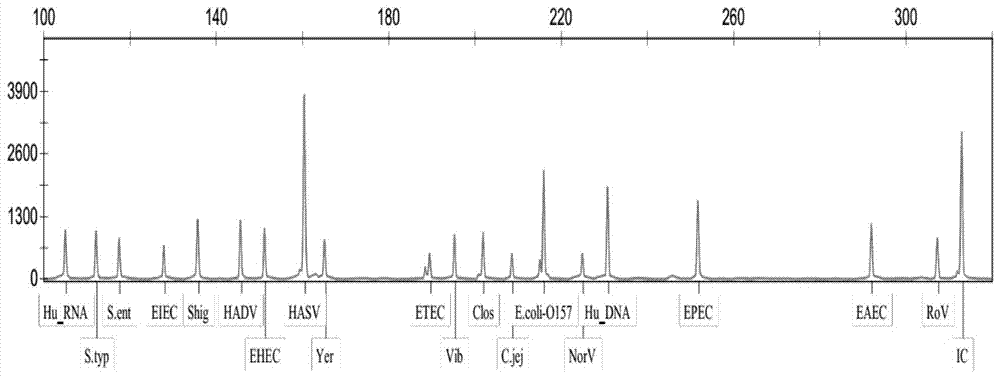 Diarrhea-related virus multi-gene detection system, and kit and application thereof