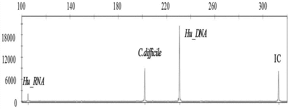 Diarrhea-related virus multi-gene detection system, and kit and application thereof