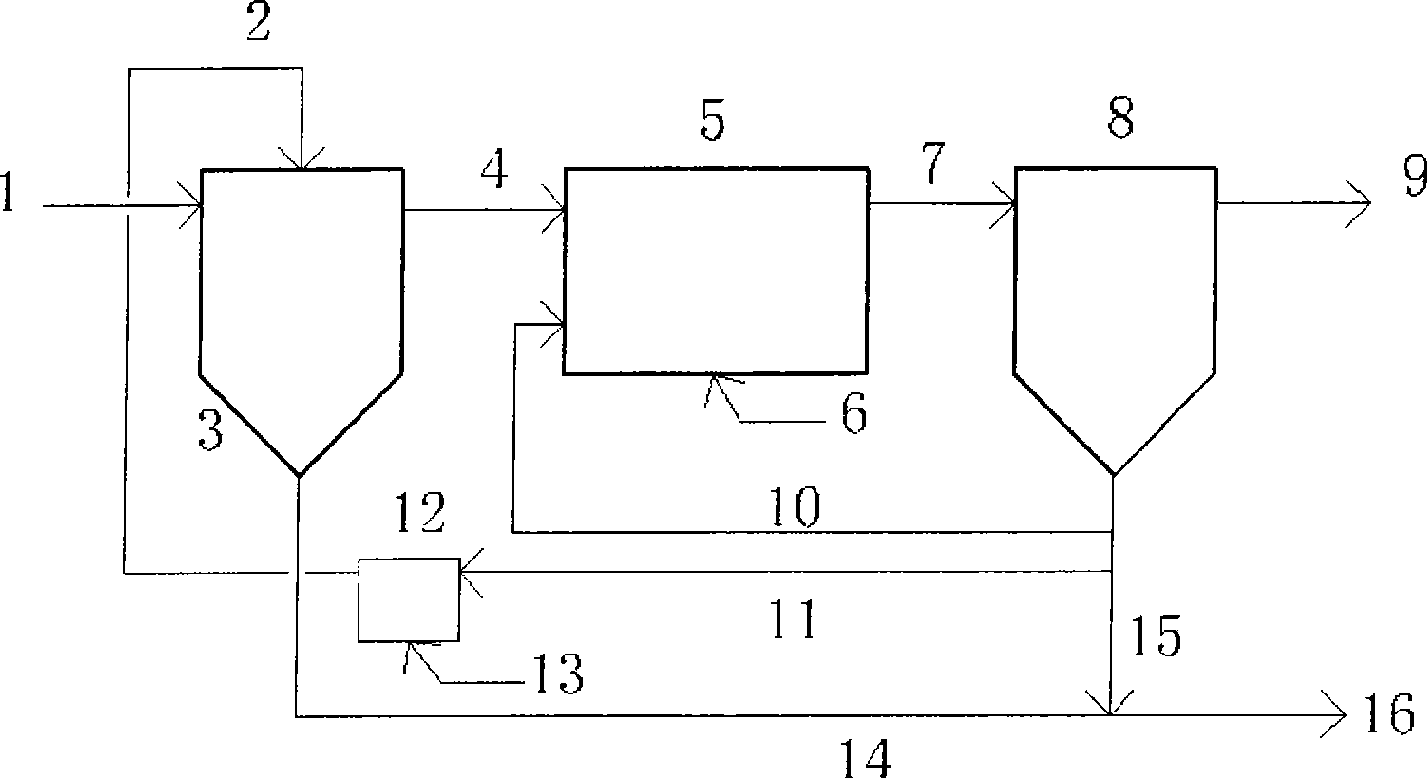Treatment method and apparatus for purifying water with sewage sludge adsorption