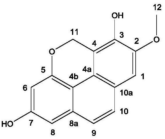 Novel phenanthrene compound separated from Pholidota chinensis Lindl, preparation method and application thereof