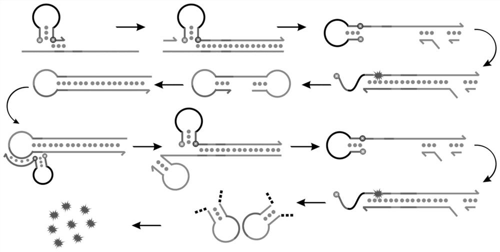 Application of a multi-target gene parallel detection combination probe and its kit