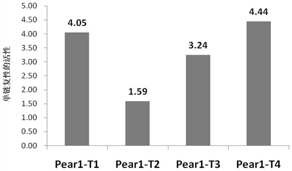 PEAR1 gene mutation kit and application thereof