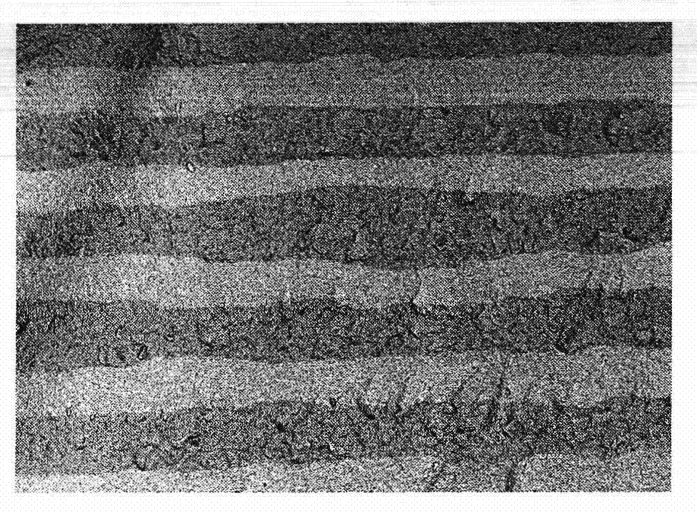 Composite structure alumina/alumina-zirconia layered composite material and preparation method