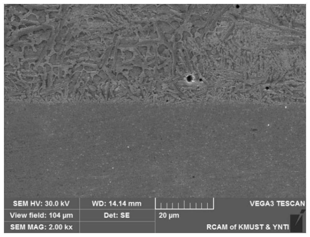 High-entropy alloy coating and preparation method thereof