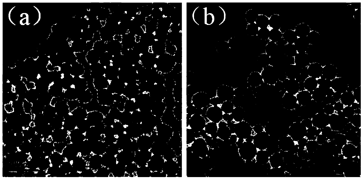 Synthesis of Cuprous Oxide Materials and Its Application in Photoacoustic Detection of Sulfides