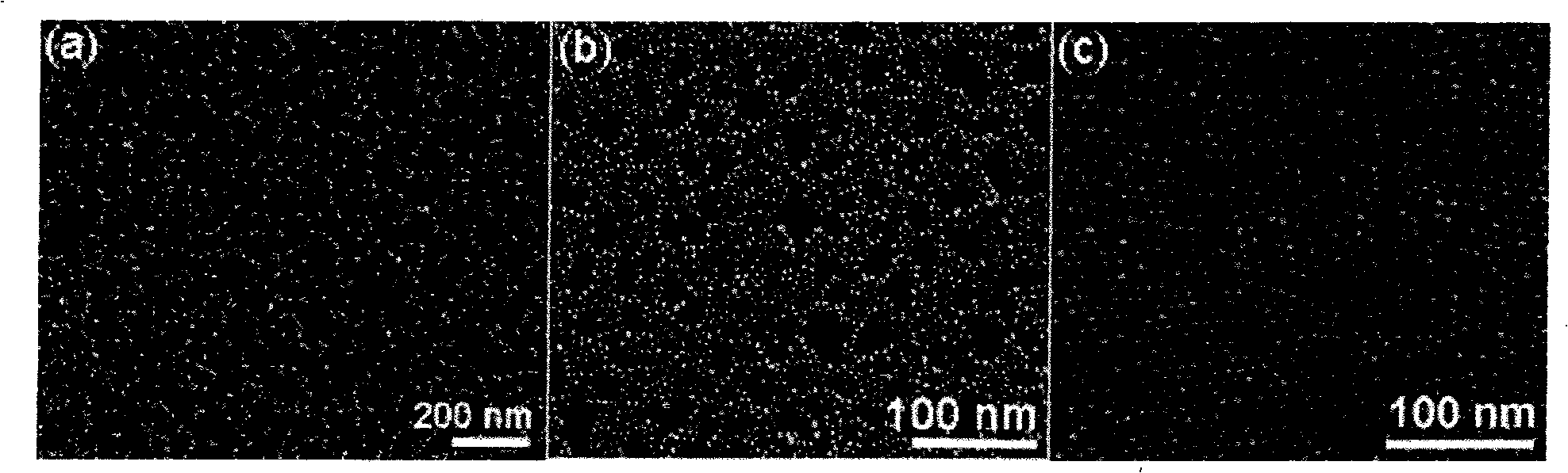Magnetic memory material of compound structure of FePt nano-particle monolayer film and B4C and method of producing the same