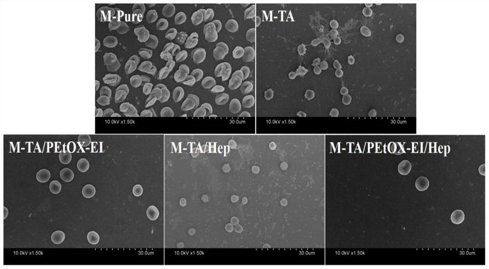 A hemodialysis membrane for intervening oxidative stress and anticoagulation, its preparation method and application