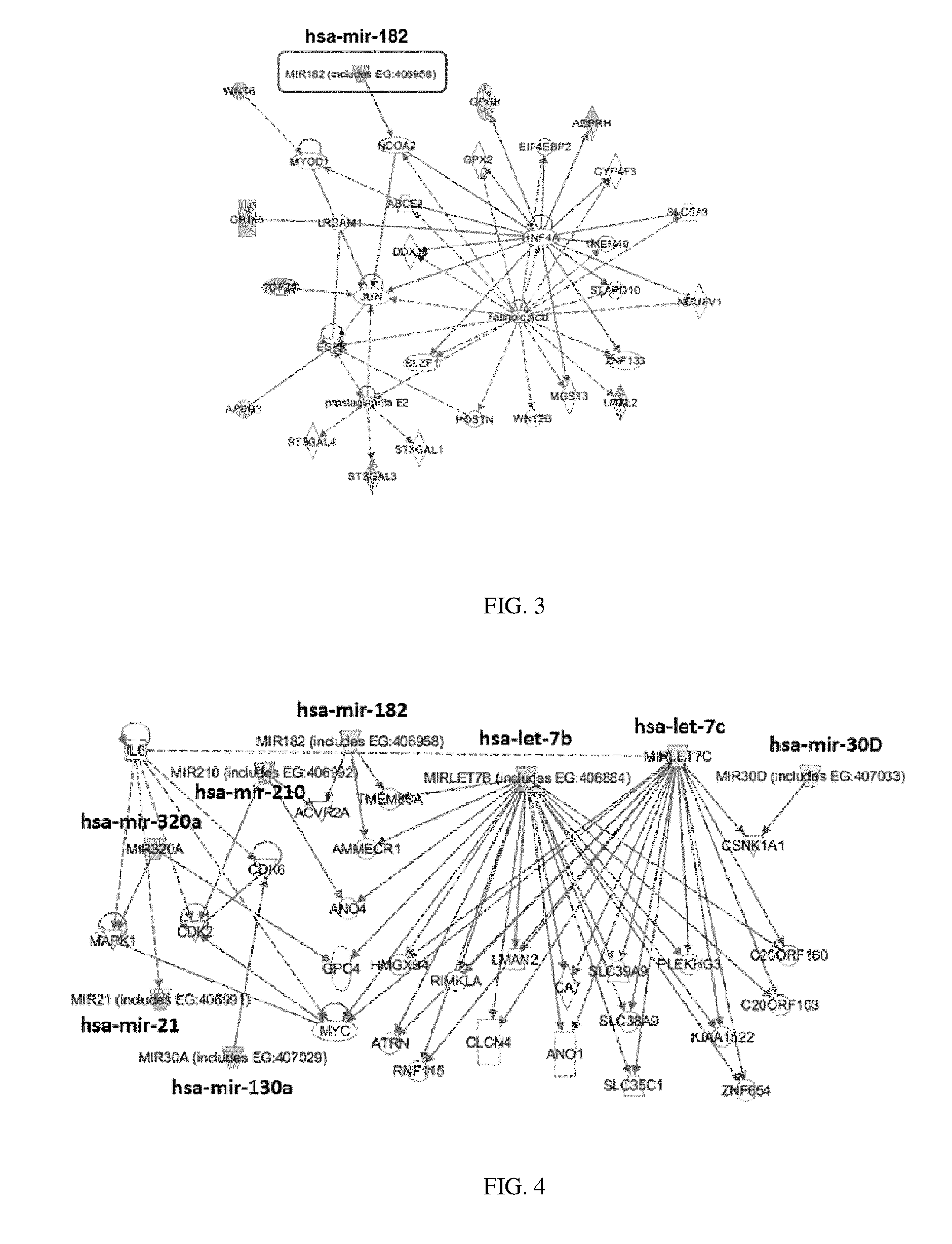 Methods for selecting competent oocytes and competent embryos with high potential for pregnancy outcome
