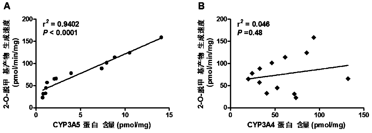 A Novel Cytochrome p450 3A5 Enzyme Specific Probe Substrate and Its Application