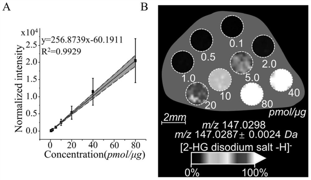 A Mass Spectrometry Method for Quantifying Endogenous Metabolites in Tissue by Molecular Image