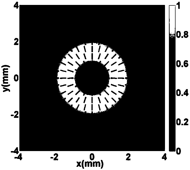 Method and device for generating radially polarized array beams