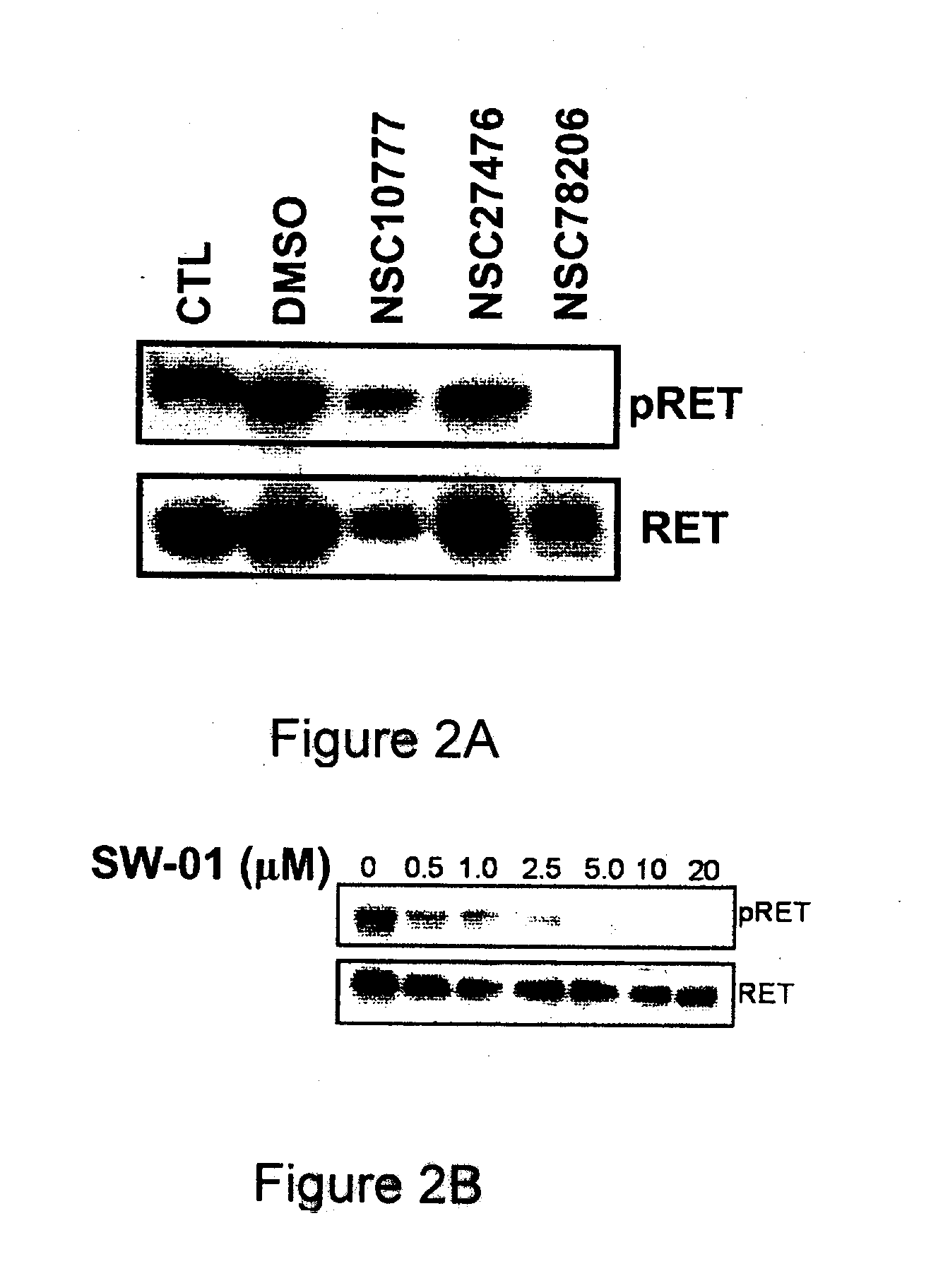 Pharmaceutical Compositions Comprising RET Inhibitors and Methods for the Treatment of Cancer