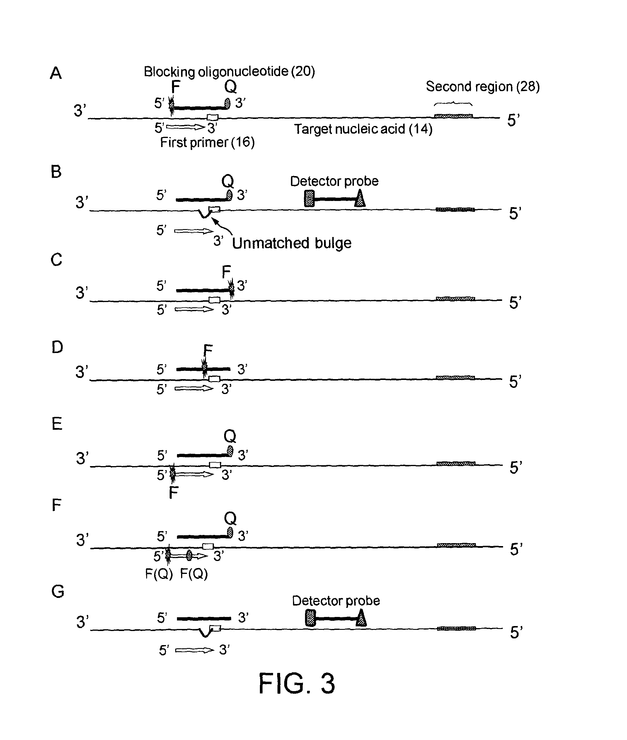 Methods, compositions, and kits for determing the presence/absence of a varian nucleic acid sequence