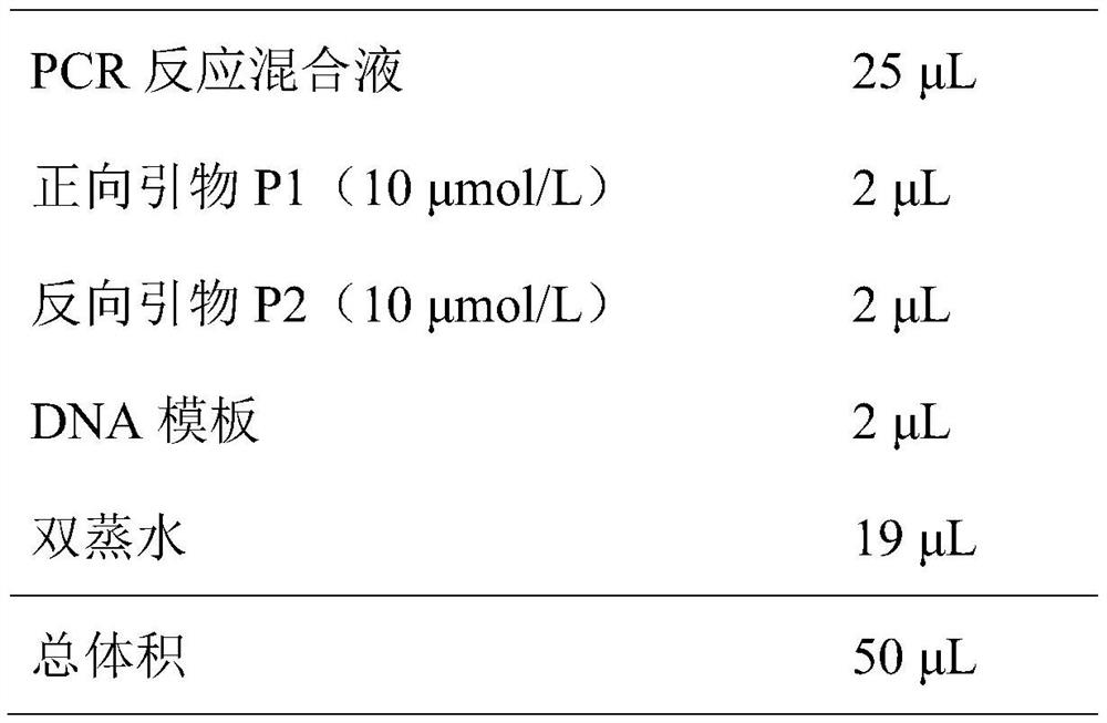 DNA barcoding standard detection fragment for identifying vespa mandarinia and application thereof