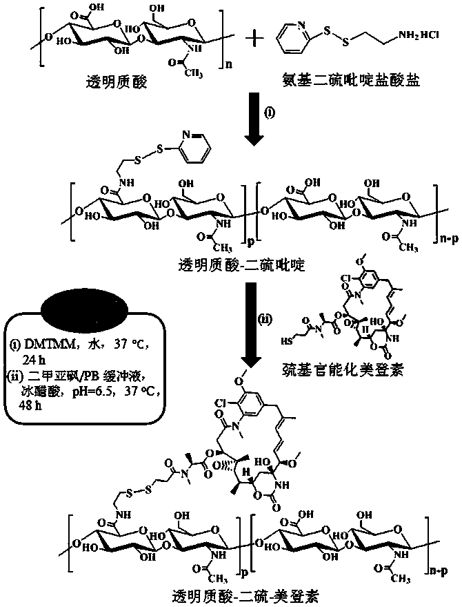 Hyaluronic acid derivatized maytansinoid prodrug, its preparation method and its application in the preparation of tumor targeting therapy drugs