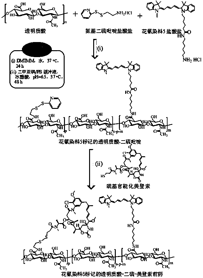 Hyaluronic acid derivatized maytansinoid prodrug, its preparation method and its application in the preparation of tumor targeting therapy drugs