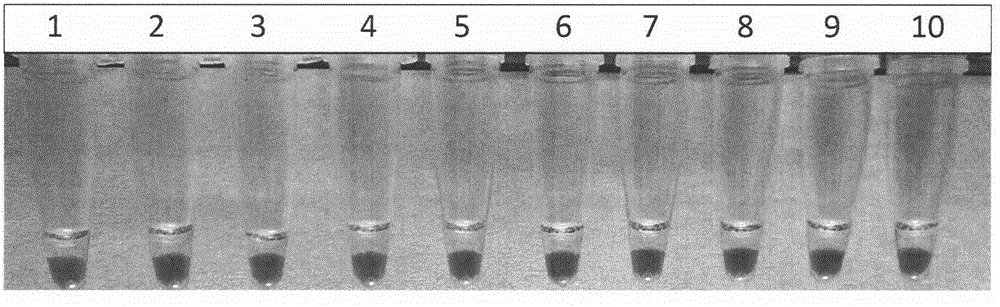 Method for detecting gene F200Y of fusarium graminearum resisting carbendazim on basis of loop-mediated isothermal amplification technology and primer composition
