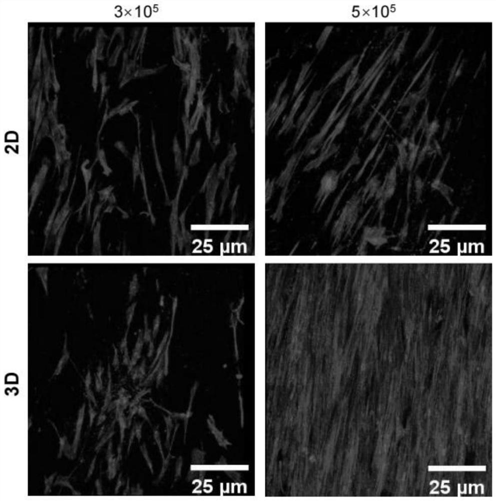 Stem cell three-dimensional odontogenic induction differentiation method and application