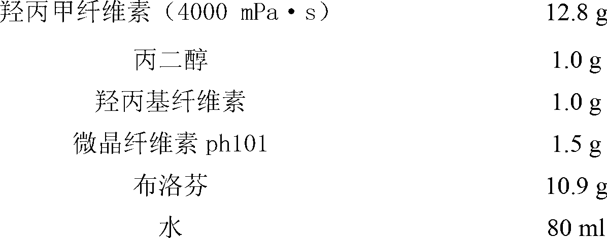 Ibuprofen oral dispersing film agent