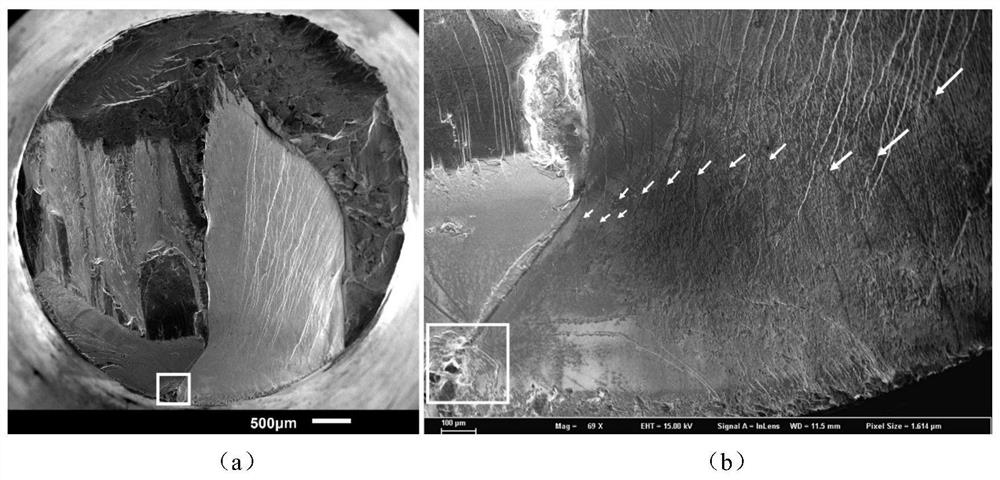 Quantitative characterization method for early-stage propagation rate of single crystal ultrahigh-cycle fatigue internal crack