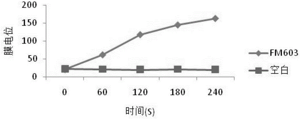 Bacteriocin generated by bacillus coagulans FM603 and preparing method thereof