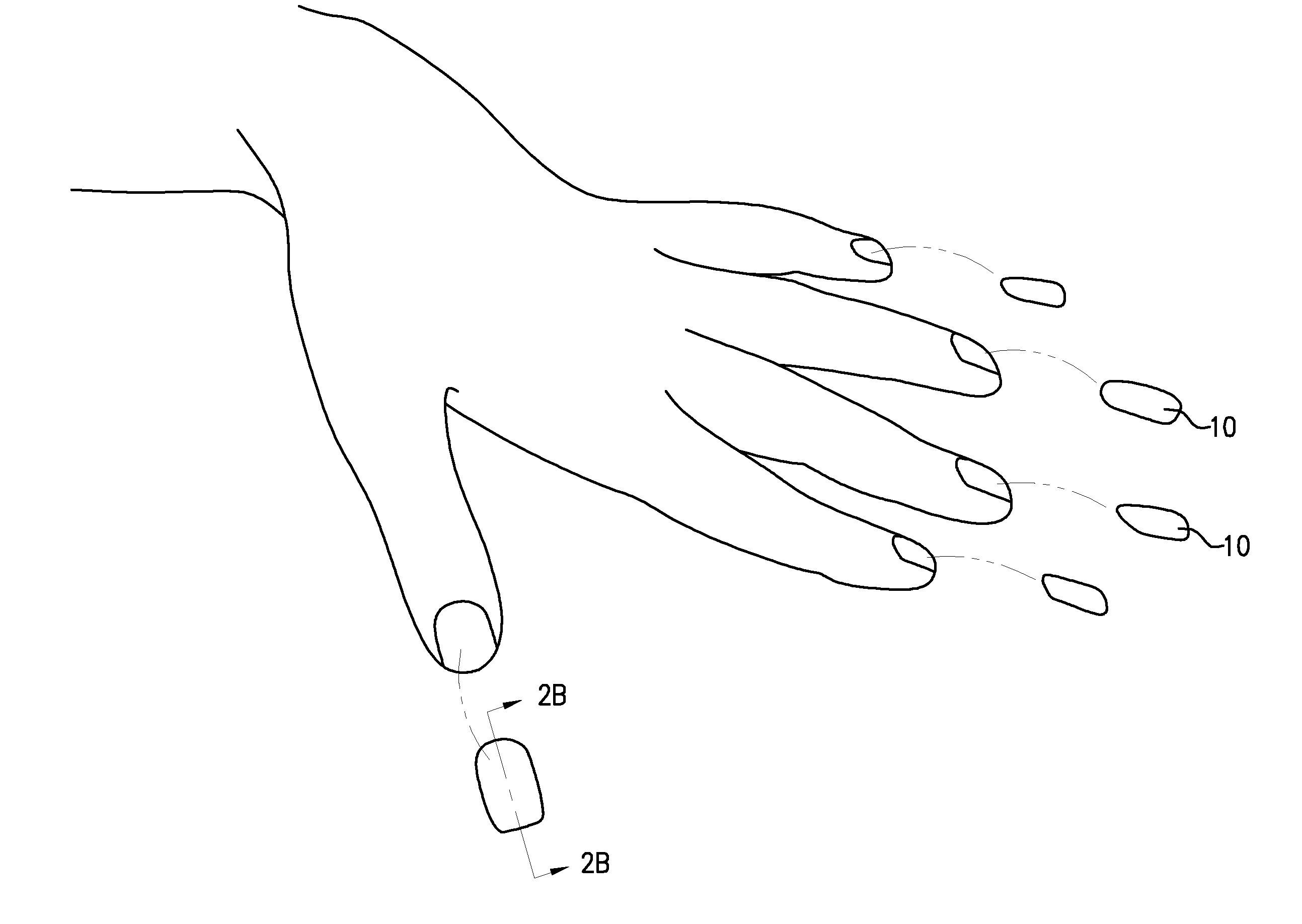 Flexible artificial fingernail
