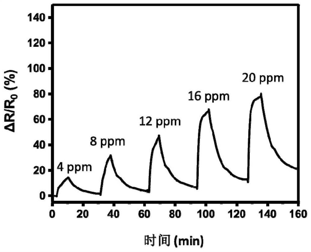 NO2 sensor and preparation method thereof