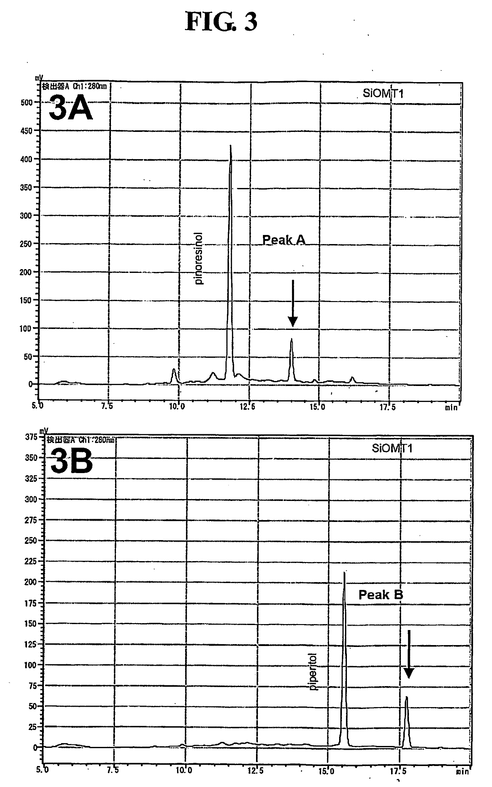 Gene Encoding Lignan Methylation Enzyme