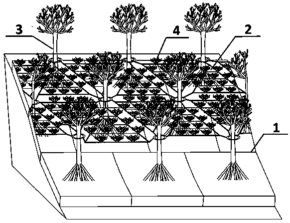 A Coastal Protection Structure Using Mangroves and Coral Layers to Dissipate Waves