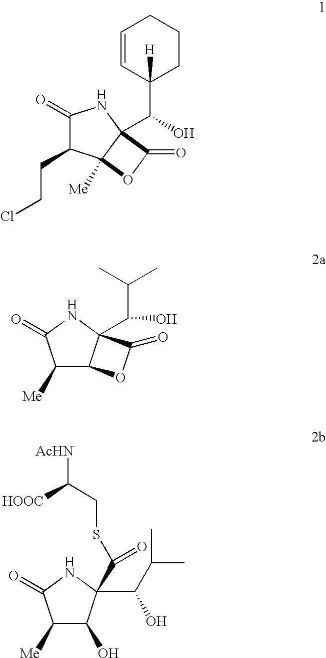 Simple stereocontrolled synthesis of salinosporamide A
