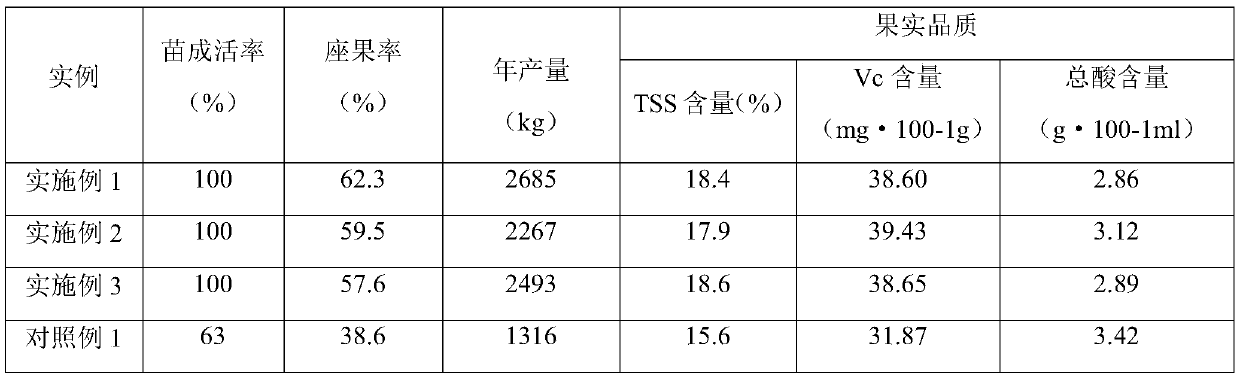 Passion fruit close planting high-yield cultivation method capable of overcoming continuous cropping obstacles