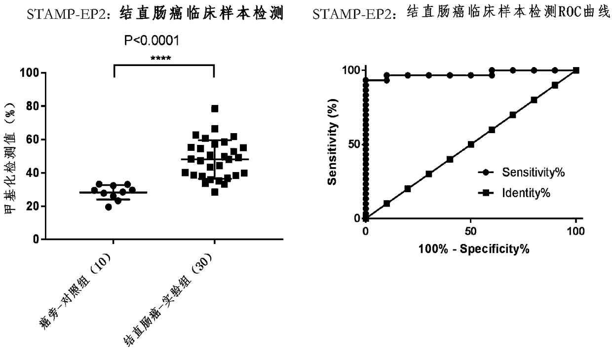 Tumor marker STAMP-EP2 based on methylated modification